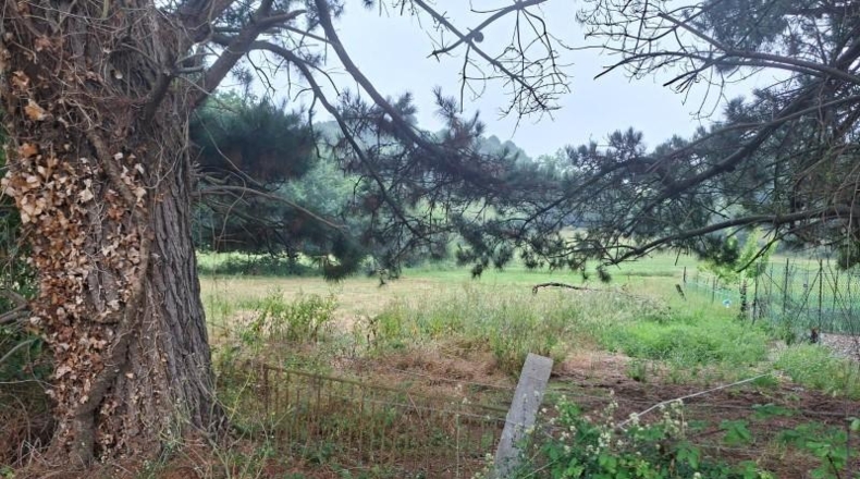 Astúries - Gijón - 2000m2