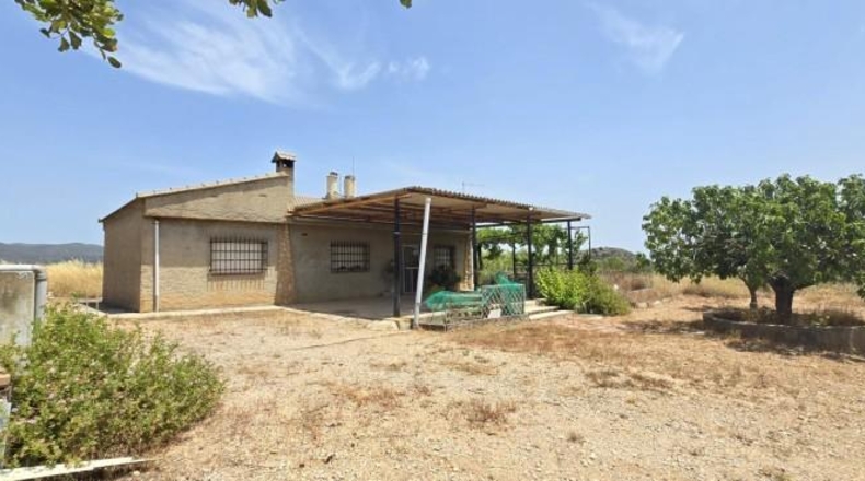 Valencia - Casinos - 11000m2