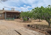Chalet independiente con terreno en venta en la España, Casinos, ref: TR414779 foto