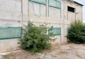 Casa de campo con terreno en venta en la España, Tortosa, ref: TR315110 foto