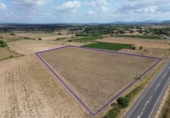 Terreno no urbanizable en venta en la España, Felanitx, ref: TR414790 foto