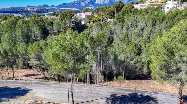 Alicante - Callosa d'en Sarrià - 684m2
