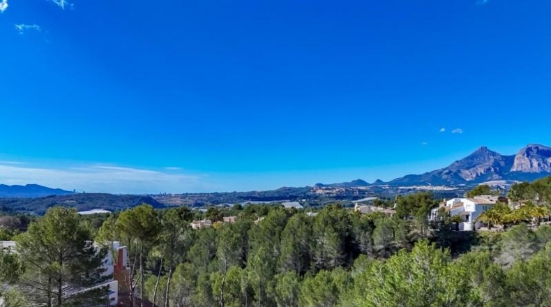 Alicante - Callosa d'en Sarrià - 684m2