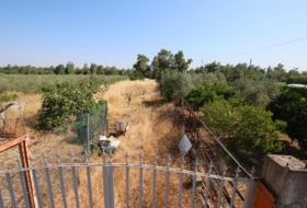 Foto 10
