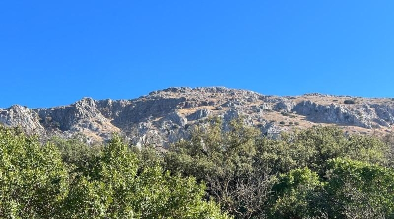 Malaga - Antequera - 50000m2