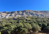 Загородный дом с участком на продажу в городе Antequera Фото