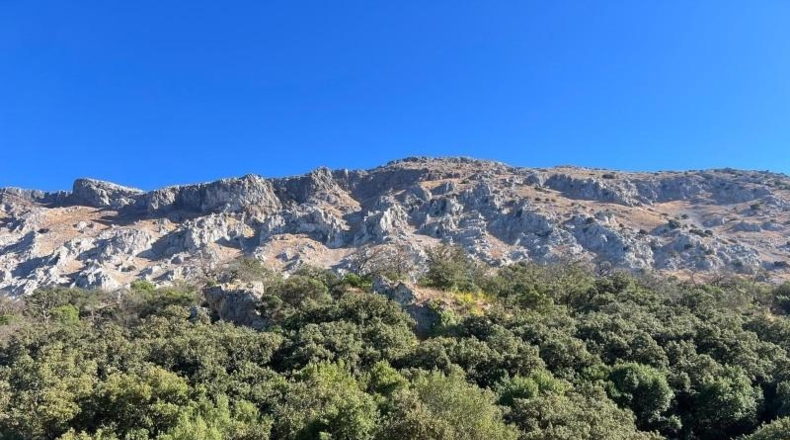 Malaga - Antequera - 50000m2