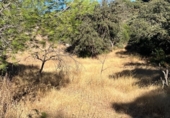 Загородный дом с участком на продажу в городе Antequera Фото