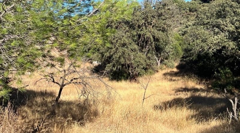 Malaga - Antequera - 50000m2