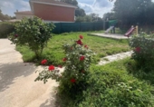 Chalet independiente con terreno en venta en la España, Escalona, ref: TR414805 foto