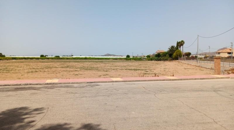 Мурсия - Murcia - 11300m2