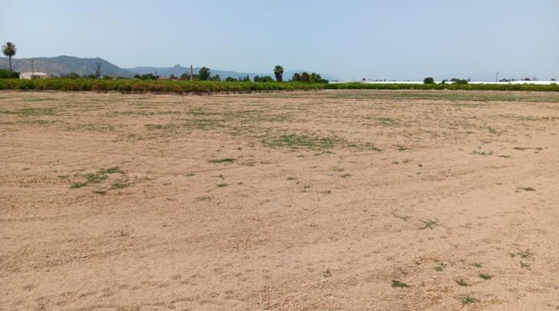 Мурсия - Murcia - 11300m2