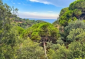 Terreno no urbanizable en venta en la España, Lloret de Mar, ref: TR329740 foto