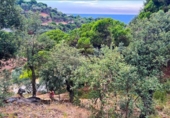 Terreno no urbanizable en venta en la España, Lloret de Mar, ref: TR329740 foto