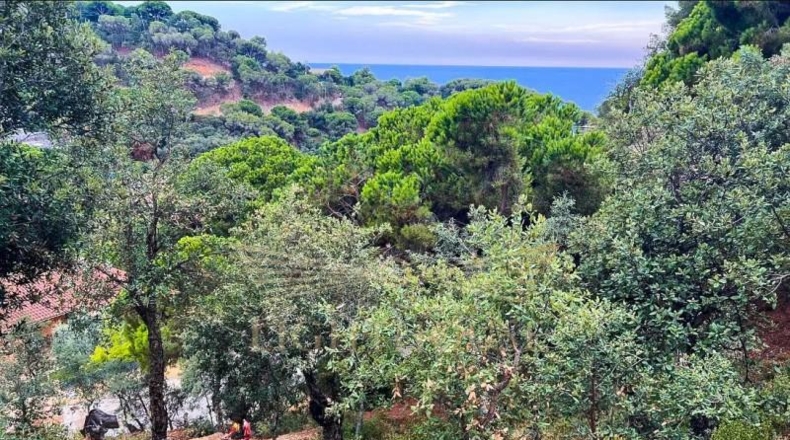 Gerona - Lloret de Mar - 748m2
