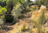 Terreno no urbanizable en venta en la España, Lloret de Mar, ref: TR329740 foto