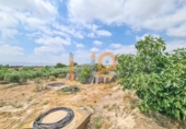 House with land for sale on España, Huércal-Overa, ref: TR414797 photo