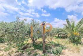 Huércal-Overa 4000&nbsp;m²