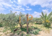 House with land for sale on España, Huércal-Overa, ref: TR414797 photo