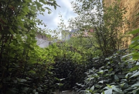Foto 13