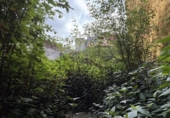 Suelo urbano en venta en la España, Vigo, ref: TR413530 foto