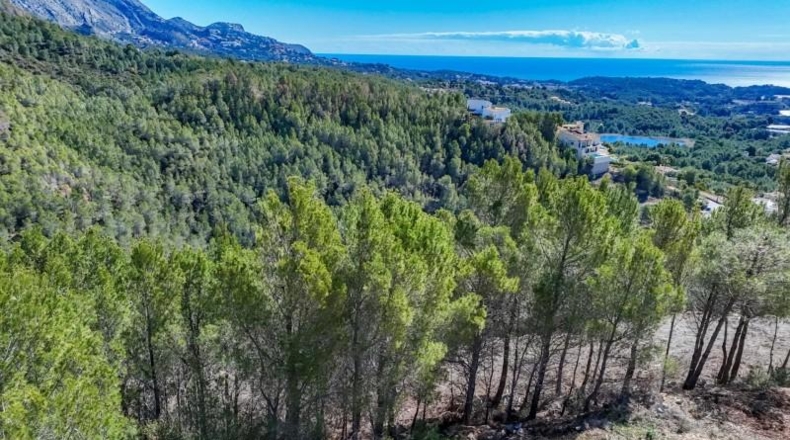 Alicante - Callosa d'en Sarrià - 938m2