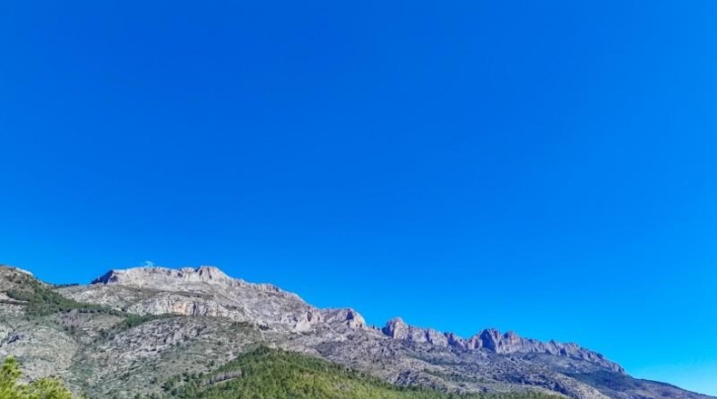 Alicante - Callosa d'en Sarrià - 938m2