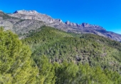 Suelo urbano en venta en la España, Callosa d'en Sarrià, ref: TR414817 foto