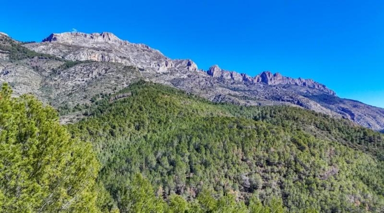 Alicante - Callosa d'en Sarrià - 938m2