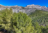 Suelo urbano en venta en la España, Callosa d'en Sarrià, ref: TR414817 foto