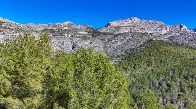 Alicante - Callosa d'en Sarrià - 938m2