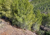 Suelo urbano en venta en la España, Callosa d'en Sarrià, ref: TR414817 foto