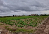 Terreno no urbanizable en venta en la España, Murcia, ref: TR414810 foto