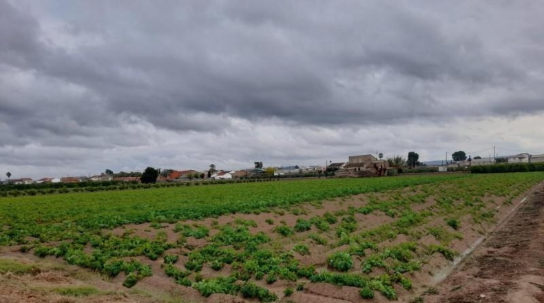 Мурсия - Murcia - 5600m2