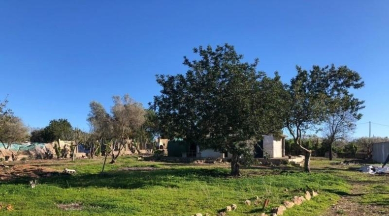 Islas Baleares - Palma - 2120m2
