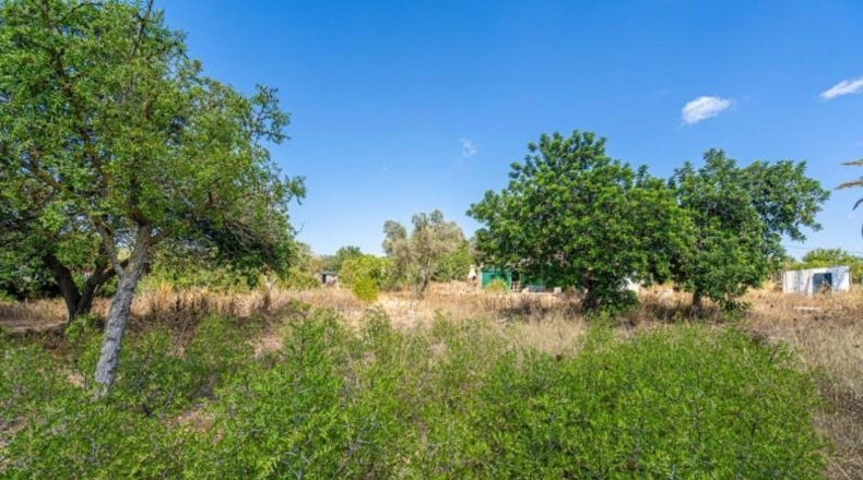 Islas Baleares - Palma - 2120m2