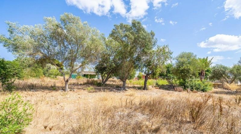 Islas Baleares - Palma - 2120m2