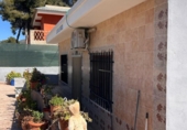 Chalet independiente con terreno en venta en la España, Albalat dels Tarongers, ref: TR414816 foto