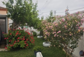 Chiclana de la Frontera 1000&nbsp;m²