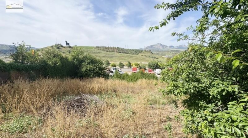 Malaga - Casabermeja - 649m2