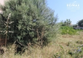 Suelo urbano en venta en la España, Santanyí, ref: TR414858 foto