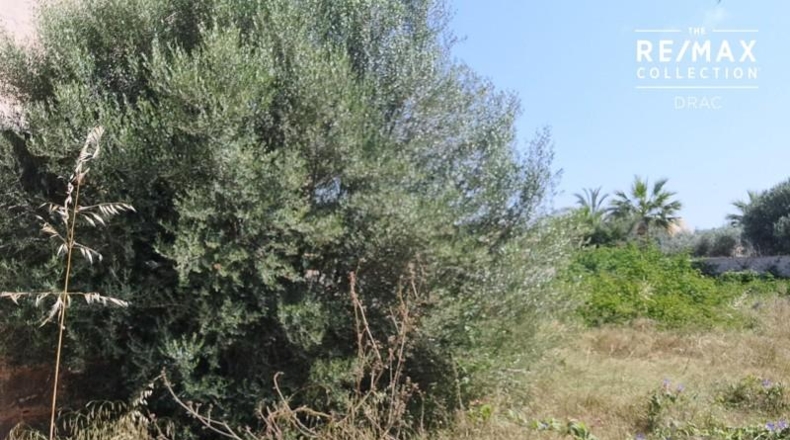 Islas Baleares - Santanyí - 400m2