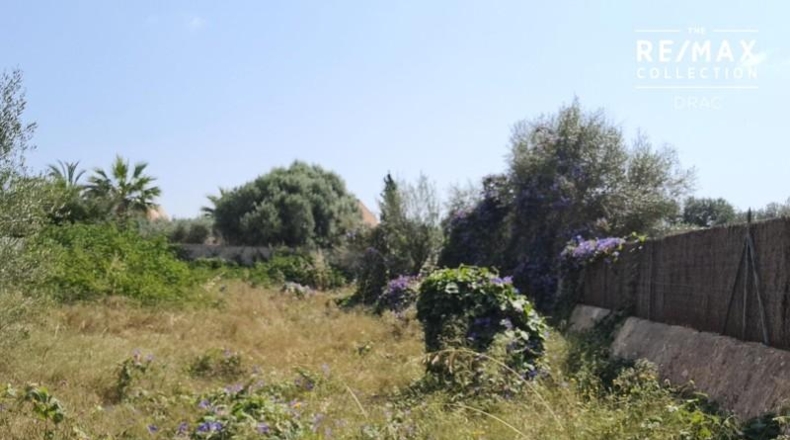 Islas Baleares - Santanyí - 400m2