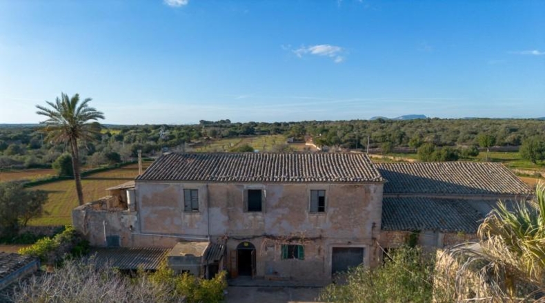 Balearic Islands - Campos - 1409m2