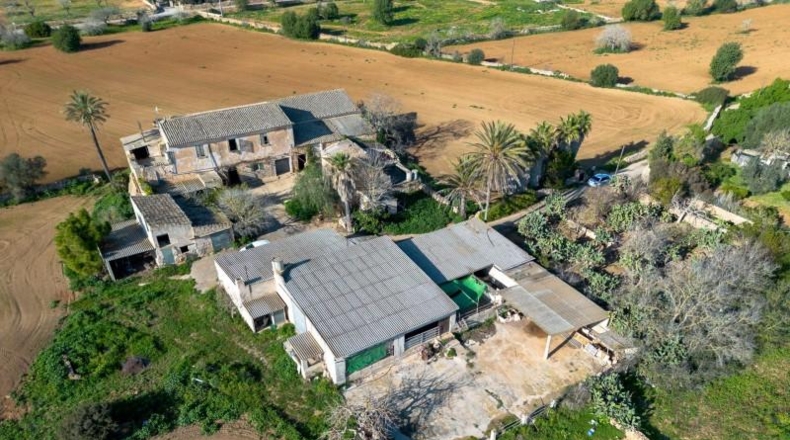 Balearic Islands - Campos - 1409m2