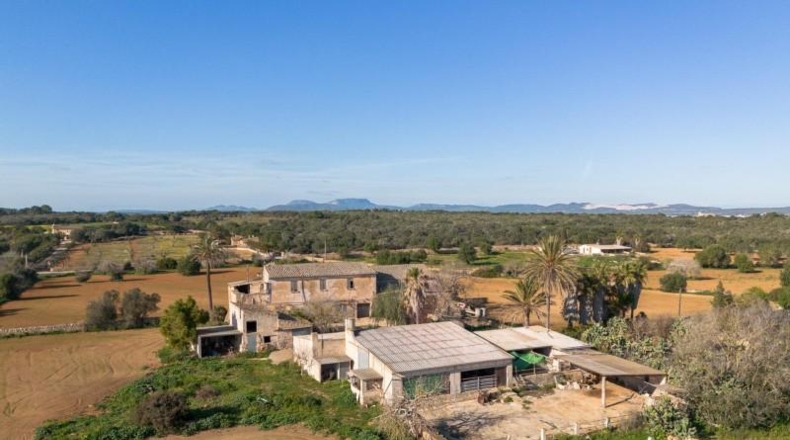Balearic Islands - Campos - 1409m2