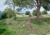 Suelo urbano en venta en la Calle Gallo, Colmenar de Oreja, ref: TR414889 foto
