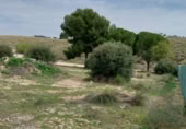 Suelo urbano en venta en la Calle Gallo, Colmenar de Oreja, ref: TR414889 foto