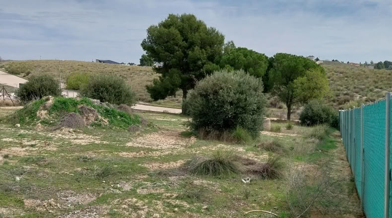 Community of Madrid - Colmenar de Oreja - 1300m2