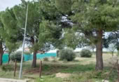 Suelo urbano en venta en la Calle Gallo, Colmenar de Oreja, ref: TR414889 foto